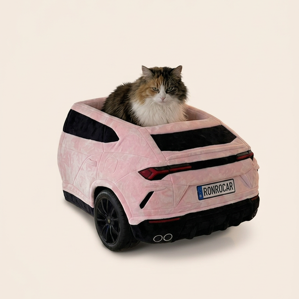 RonroCar