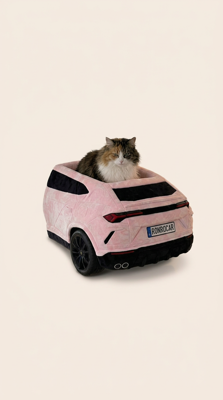 RonroCar cama de pared para gatos