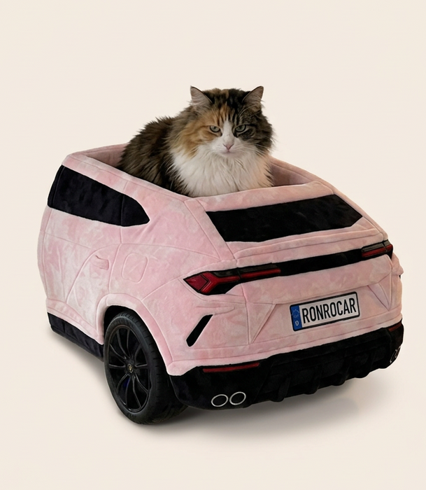 RonroCar cama de pared para gatos